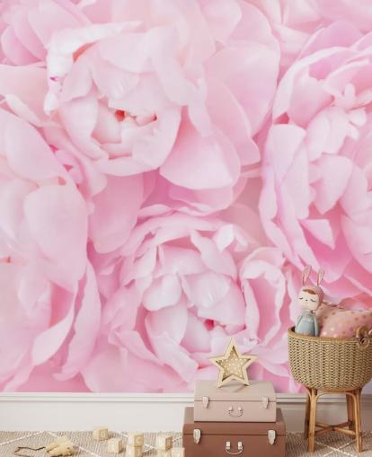 rosa peonies närbild tapeter