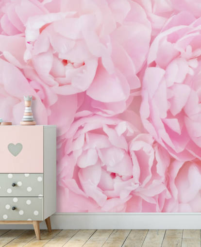 rosa peonies närbild tapeter