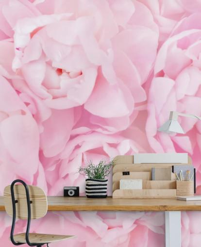 pink peonies close up wallpaper