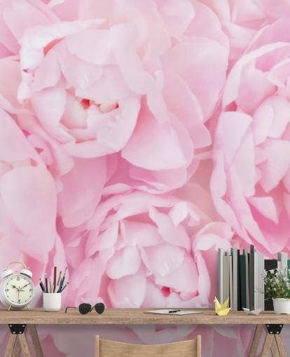pivoines roses gros plan papier peint