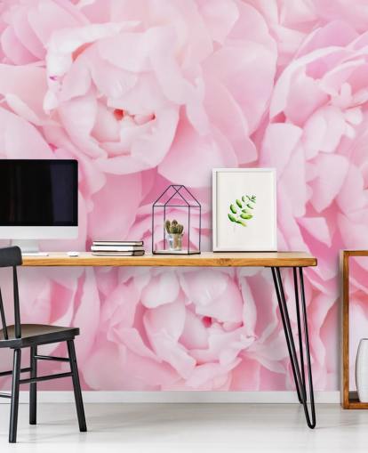 pivoines roses gros plan papier peint