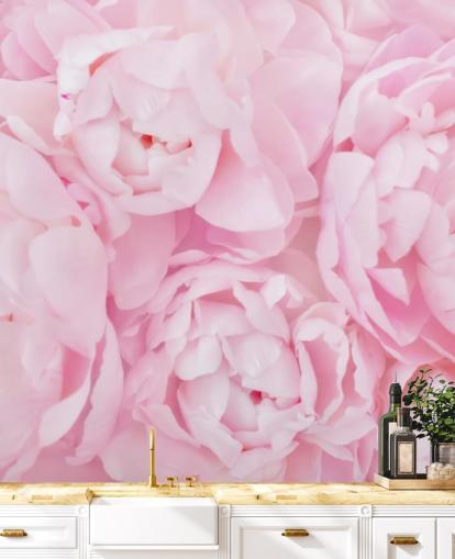 carta da parati vicino peonie rosa