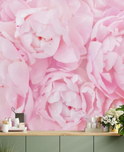 rosa peonies närbild tapeter