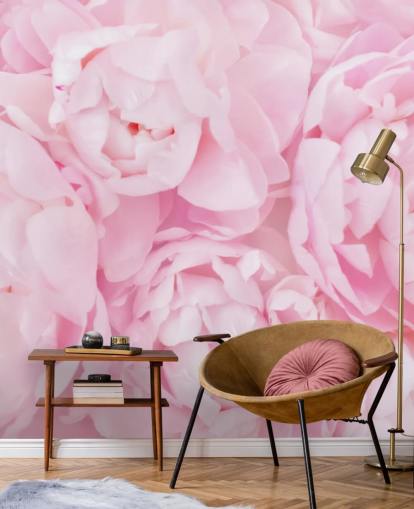 pivoines roses gros plan papier peint