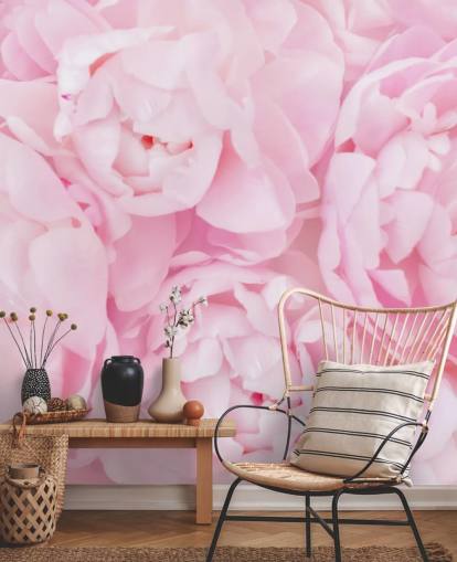 pink peonies close up wallpaper