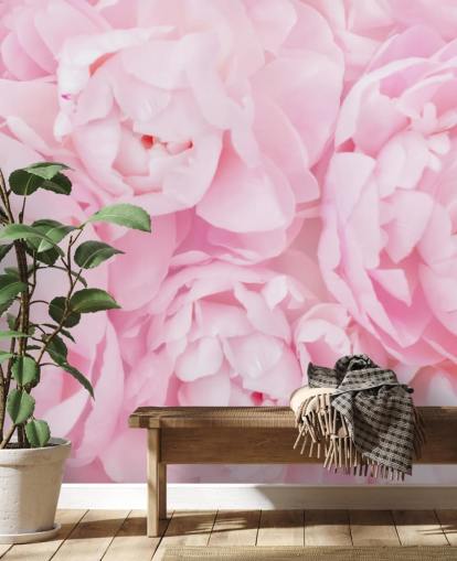 pink peonies close up wallpaper