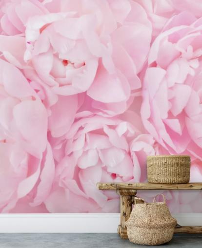 carta da parati vicino peonie rosa
