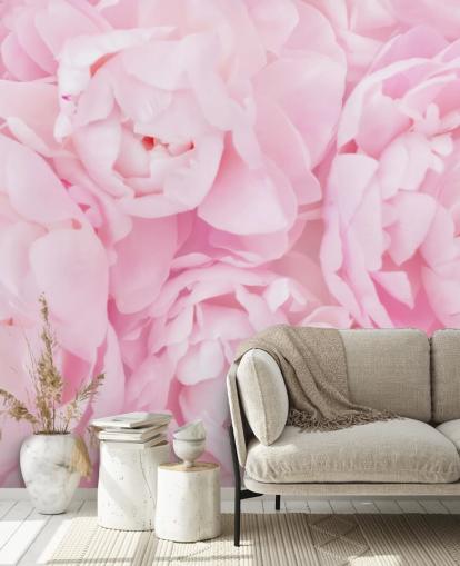 pink peonies close up wallpaper