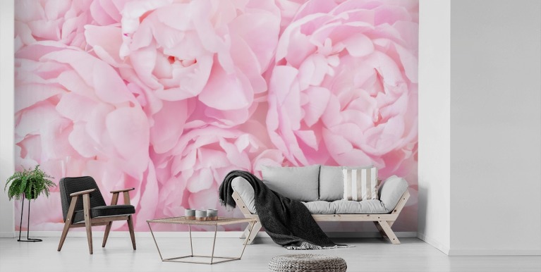 Sitemapcdatahttpsmodeinf Inetcompapier Peint Pivoine Rose