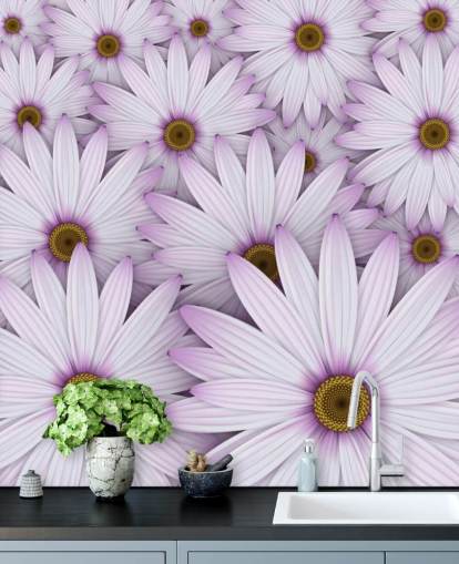 Lilla Daisies Bakgrunn Lilla Daisies Bakgrunn