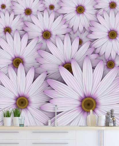 Papel de parede Purple Daisies Papel de parede Purple Daisies