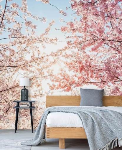 lyserøde kirsebærblomstgrene mod blå himmel tapet