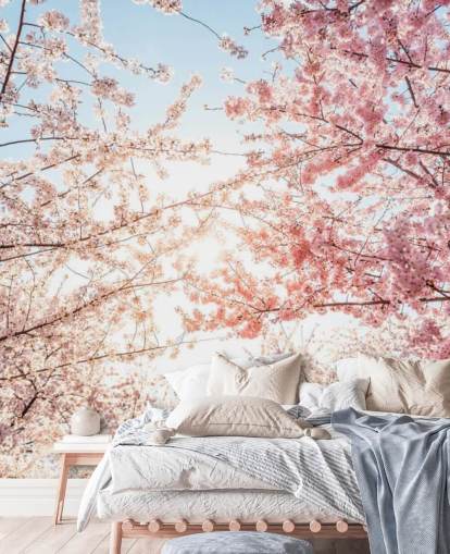 lyserøde kirsebærblomstgrene mod blå himmel tapet