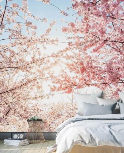 pink cherry blossom branches against blue sky wallpaper