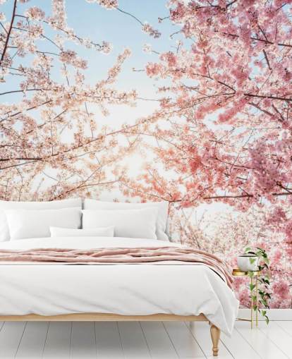 rosa körsbärsblommor grenar mot blå himmel tapet