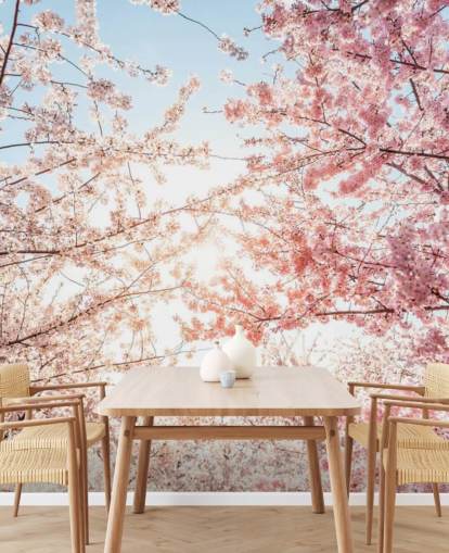 pink cherry blossom branches against blue sky wallpaper