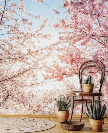 pink cherry blossom branches against blue sky wallpaper