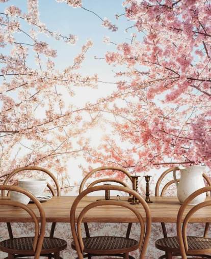 pink cherry blossom branches against blue sky wallpaper