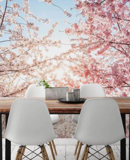 pink cherry blossom branches against blue sky wallpaper