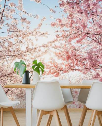 pink cherry blossom branches against blue sky wallpaper