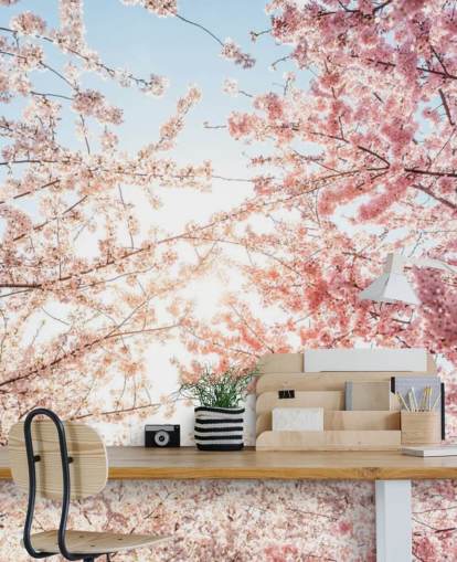 lyserøde kirsebærblomstgrene mod blå himmel tapet