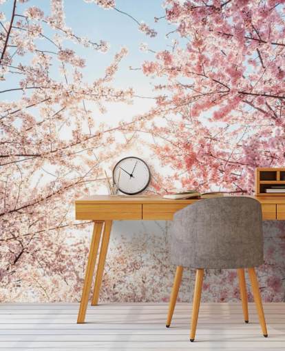 pink cherry blossom branches against blue sky wallpaper