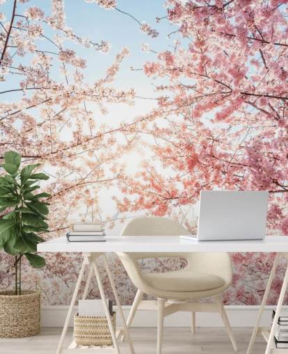 lyserøde kirsebærblomstgrene mod blå himmel tapet lyserøde kirsebærblomstgrene mod blå himmel tapet