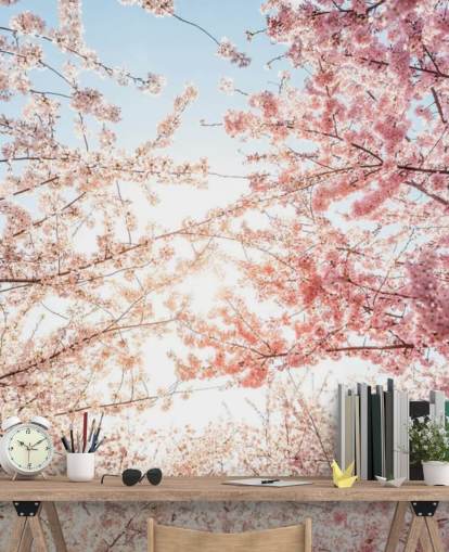 rami di fiori di ciliegio rosa su carta da parati blu cielo