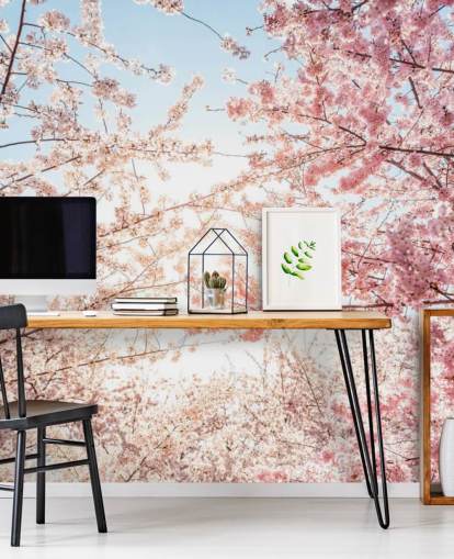 papel pintado de ramas de cerezo rosa contra cielo azul