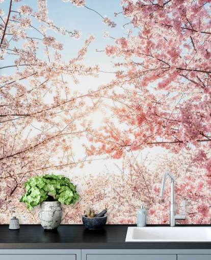 pink cherry blossom branches against blue sky wallpaper