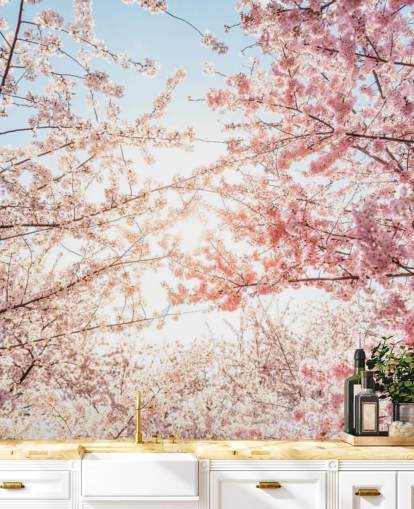 papel pintado de ramas de cerezo rosa contra cielo azul