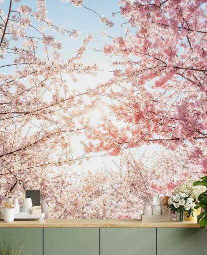 papel pintado de ramas de cerezo rosa contra cielo azul