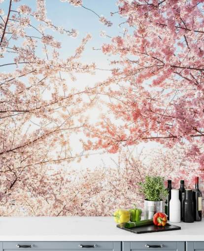 lyserøde kirsebærblomstgrene mod blå himmel tapet