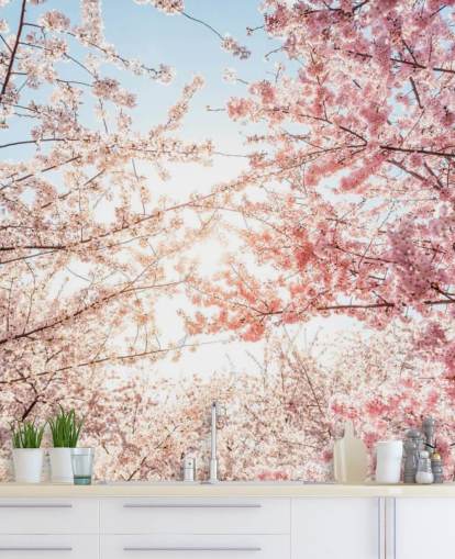 rami di fiori di ciliegio rosa su carta da parati blu cielo