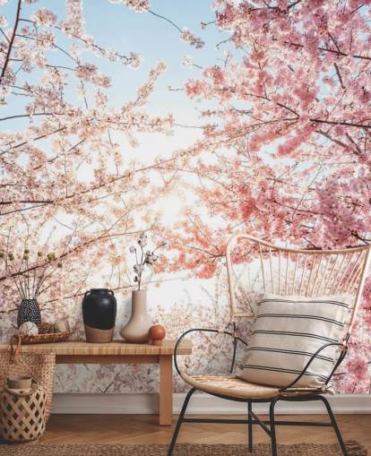 pink cherry blossom branches against blue sky wallpaper