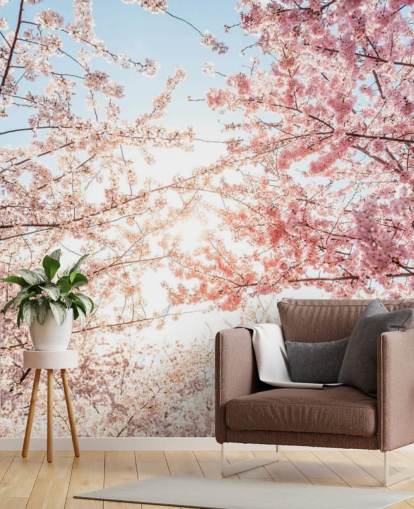 rami di fiori di ciliegio rosa su carta da parati blu cielo