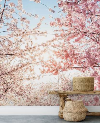 pink cherry blossom branches against blue sky wallpaper