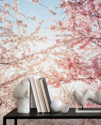 pink cherry blossom branches against blue sky wallpaper
