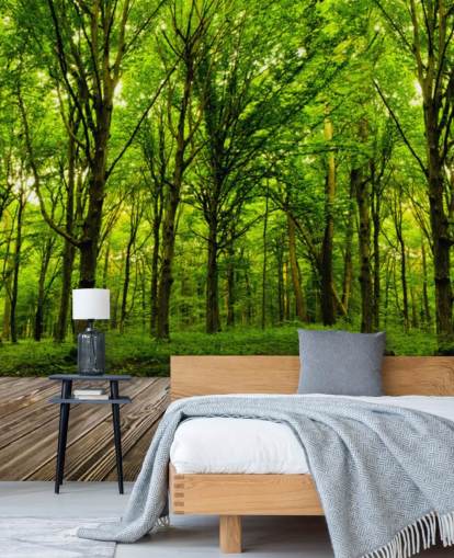 Fondo de pantalla de Green Forest by House