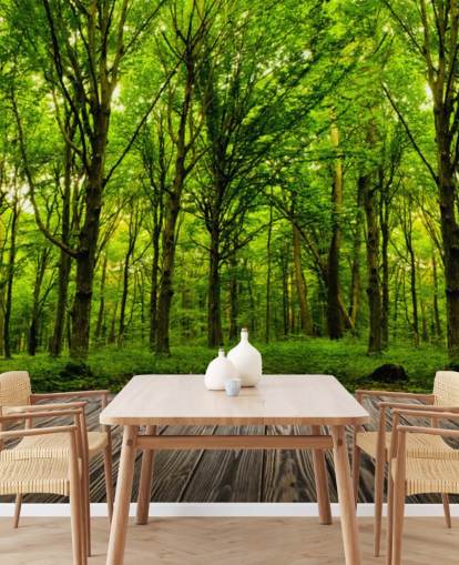 Hintergrundbild „Grüner Wald von House“