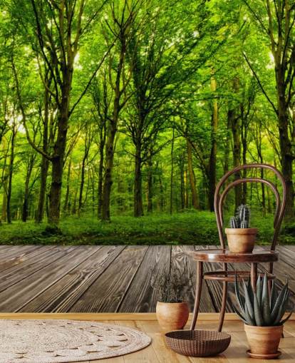 Carta da parati Green Forest by House Carta da parati Green Forest by House