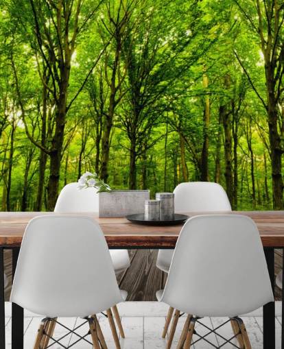 Green Forest by House Wallpaper