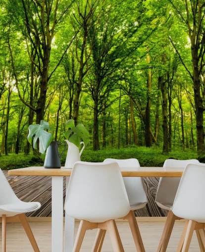 Fondo de pantalla de Green Forest by House