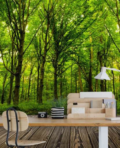 Papier peint Green Forest by House