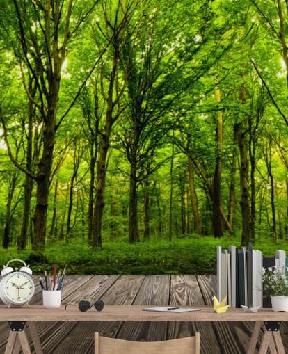 Papel de parede Green Forest by House
