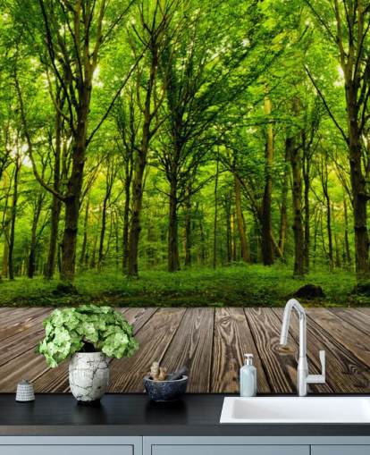 Fondo de pantalla de Green Forest by House