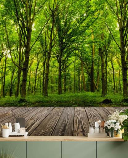 Fondo de pantalla de Green Forest by House