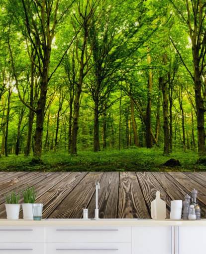 Hintergrundbild „Grüner Wald von House“ Hintergrundbild „Grüner Wald von House“