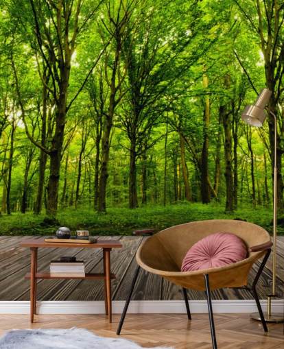 Grønn skog by House Bakgrunn Grønn skog by House Bakgrunn