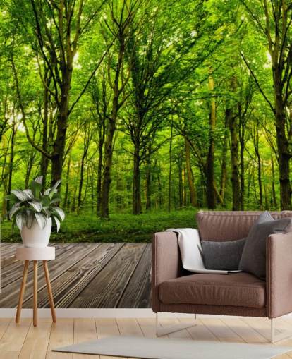 Grønn skog by House Bakgrunn Grønn skog by House Bakgrunn